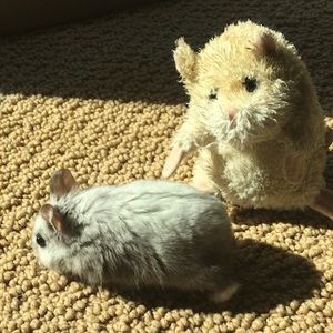 Meet your Posher, Connor